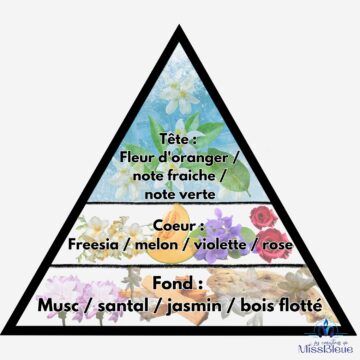 Pyramide olfactive poisson