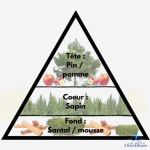 Pyramide olfactive sapin de noël