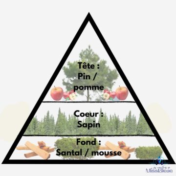 Pyramide olfactive sapin de noël