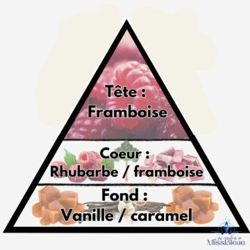 Pyramide olfactive taureau