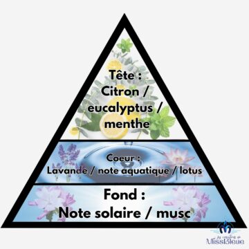 Pyramide olfactive verseau