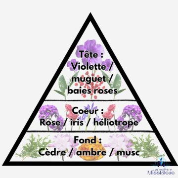 Pyramide olfactive vierge