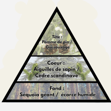 Bougie Oxygène – Image 4