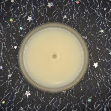 Bougie Rêve – Image 2