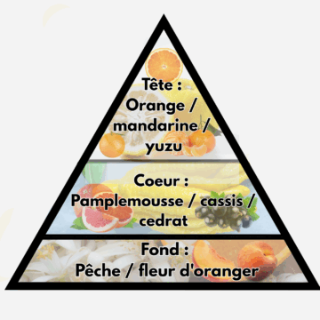 Fond'tzel Pamplemousse – Image 3