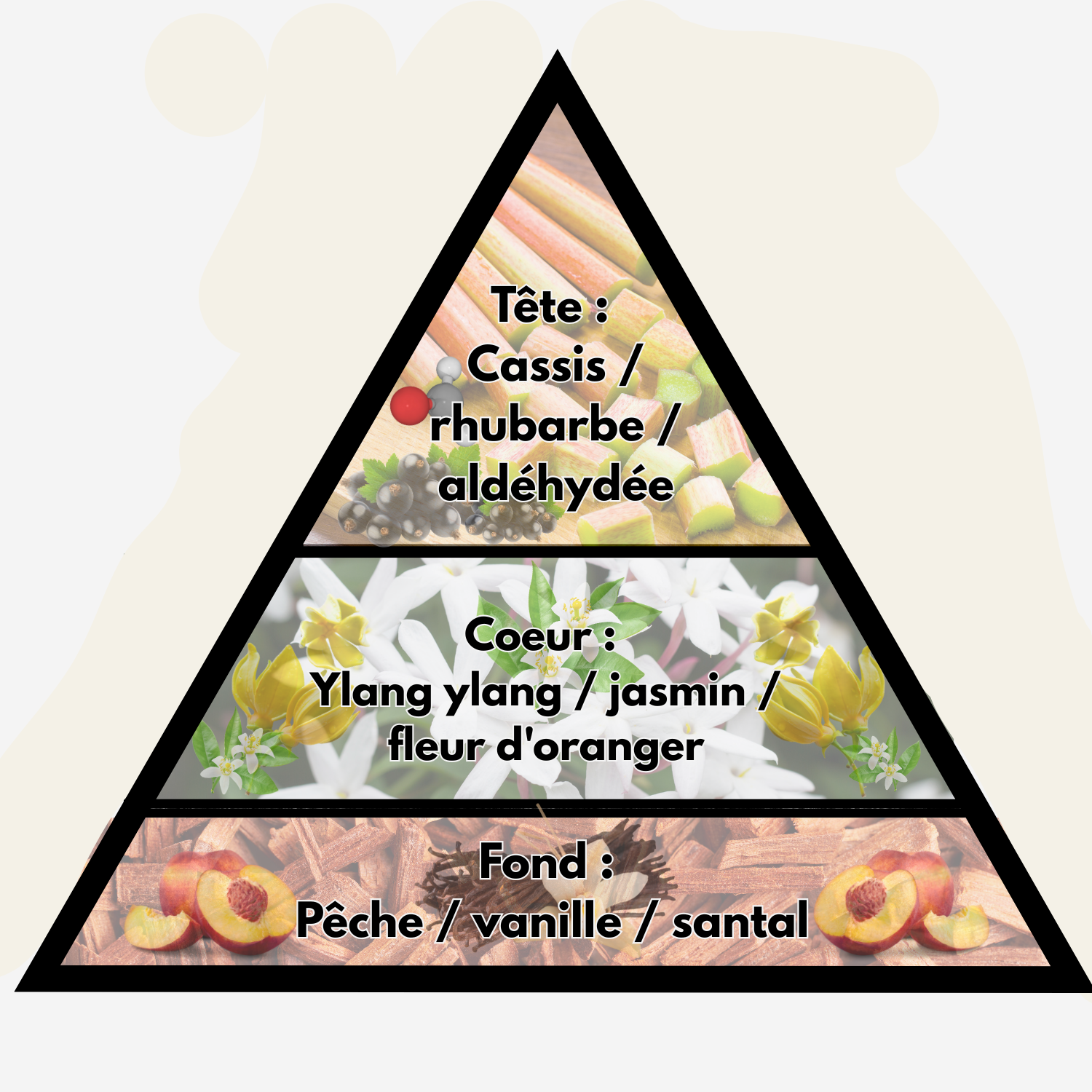 Lessive Jasmin / Passion – Image 2